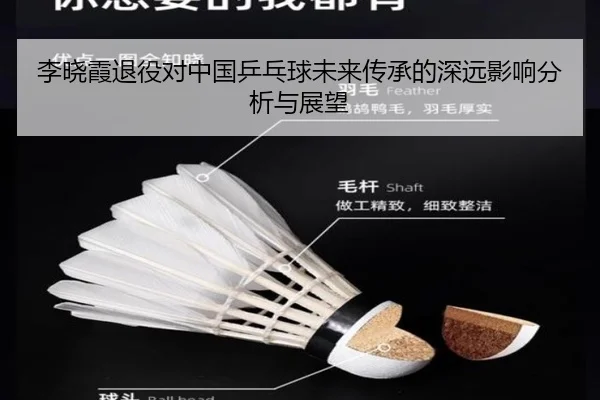 李晓霞退役对中国乒乓球未来传承的深远影响分析与展望